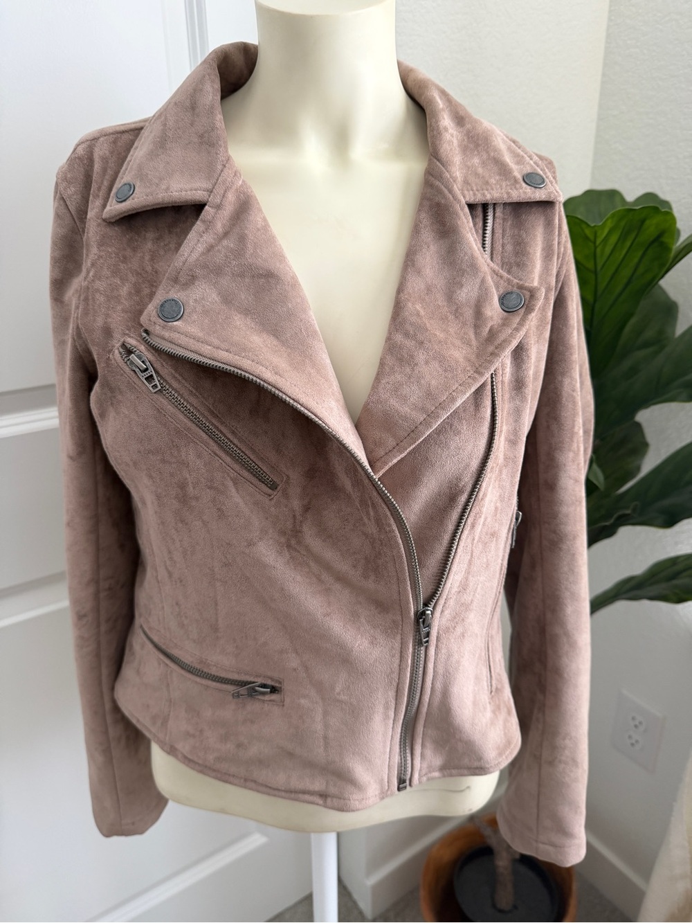 BLANKNYC Faux Suede Moto Jacket Mushroom Small - Picture 2 of 8